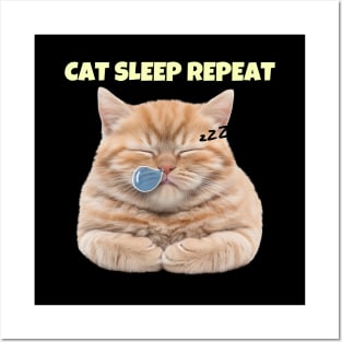 Cat Sleep Repeat Posters and Art